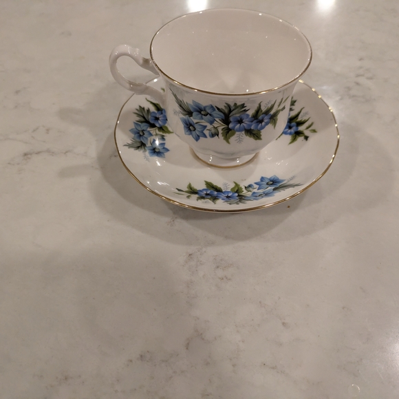 Bone China Queen Anne England  Blue Floral Teacup and Saucer Set with Gold Trim - Picture 2 of 4